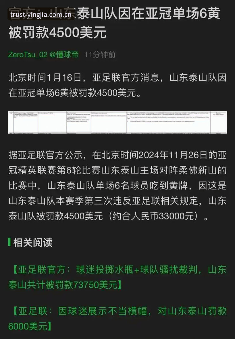 足坛乱象与体育诚信：中国足协第三批禁足名单的全面审视 vs 盈嘉体育平台的公平竞技承诺